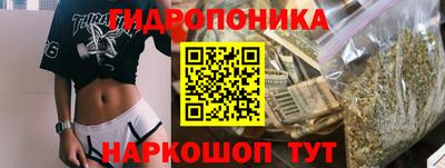 дмт Дубна