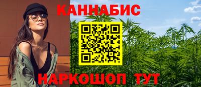 дмт Дубна