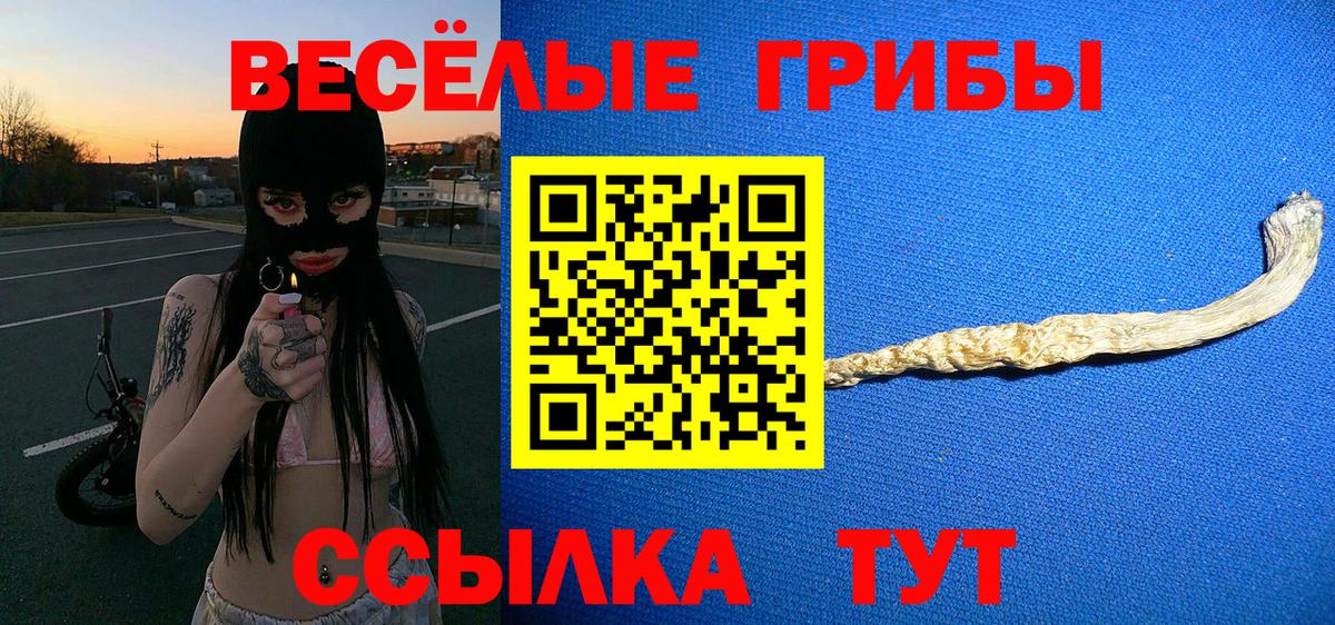 Псилоцибиновые грибы Cubensis Псков